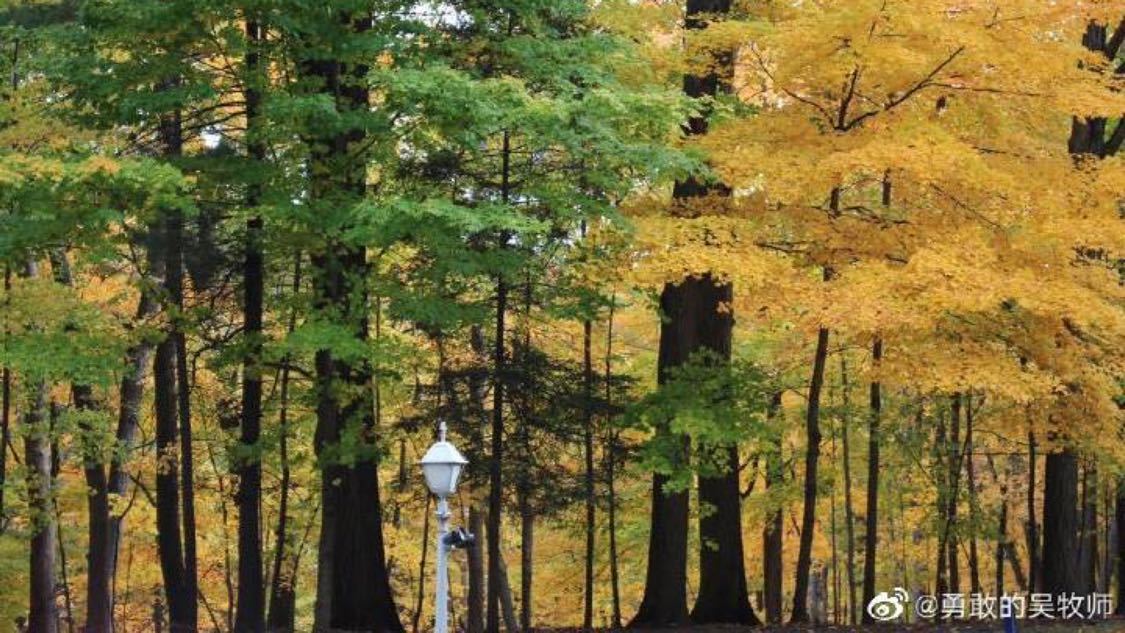 快手涨20个赞自助下单平台：优质内容创作法则提升社交媒体曝光技巧_KS粉丝业务